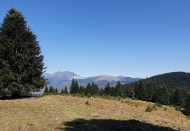 Trail Walking Ax-les-Thermes - AX ORGEIX MERENS - 05 - chemin des Bons-Hommes GR107 - Photo