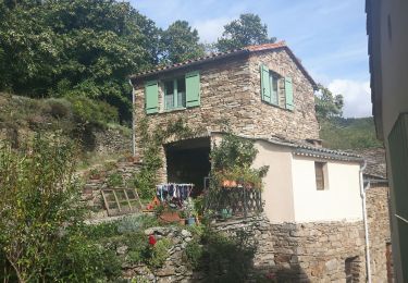 Randonnée Marche Fraisse-sur-Agout - Les 1000 marches Saut de Vésoles - Photo