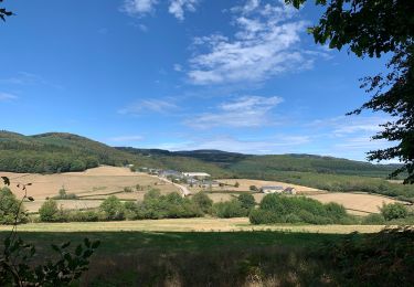 Trail Walking Saint-Léger-sous-Beuvray - Oppidum de Bibracte - Photo