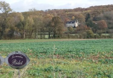 Randonnée Marche Valençay - Valençay - La Foulquetière 19-11-23 - Photo