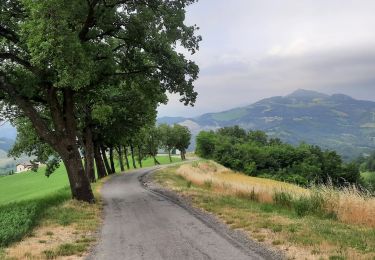 Trail Walking Fornovo di Taro - CR_Francigena_CA_25_Fornovo_Terenzo-Case-Storti_20220607 - Photo