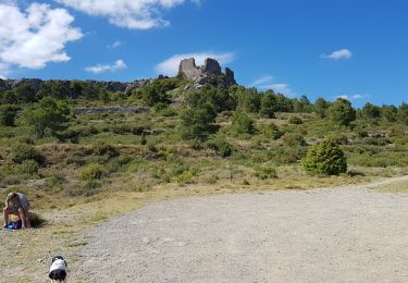 Excursión Senderismo Opoul-Périllos - Karst perrios - Photo