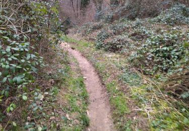 Trail Walking Saint-Donat-sur-l'Herbasse - 26 bois sizay et grâce didier 23.01.22 - Photo