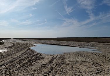 Tour Wandern Le Crotoy - La Maille - Pointe de St Quentin - Photo