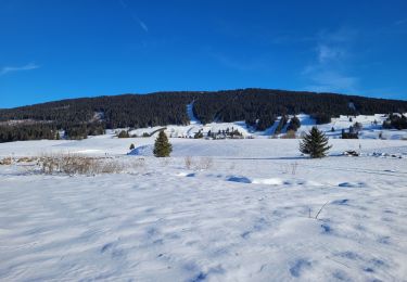 Randonnée Marche Les Rousses - Ballade autour du lac des Rousses sous la neige - Photo