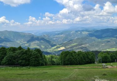 Excursión Senderismo Valdrôme - Valdrome - Montagne de l Aup - Photo