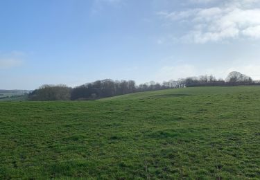 Trail Walking Gerpinnes - Marche Adeps Gerpinnes 19/1/20 - Photo
