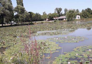 Percorso Mountainbike Lisle-sur-Tarn - lisle sur tarn - Photo
