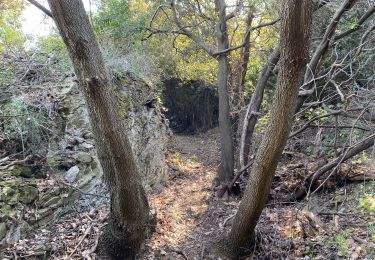 Tour Wandern Faugères - Faugeres / Poussecq / Soumartre - Photo