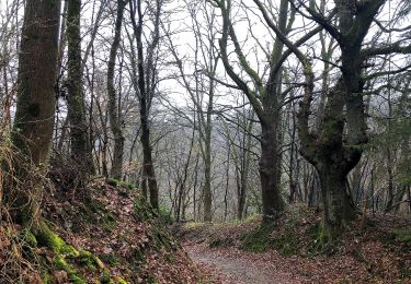 Tour Zu Fuß Unbekannt - Güldenwerth Rundweg A1 - Photo