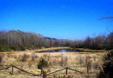 Tour Zu Fuß Coli - Perino - Concrena - Passo di Santa Barbara - Sella del Generale - Monte Aserei - Percorso 001 - Photo