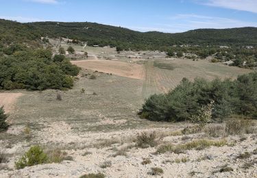 Trail Walking Signes - Tour de la Limate - Photo