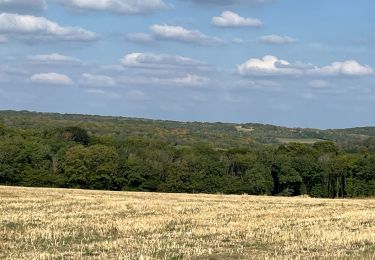 Tocht Stappen Aubaine - Crepey - Photo