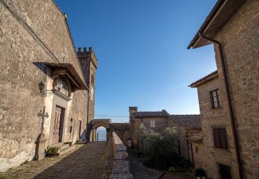 Excursión A pie Buggiano - Buggiano Colle Cozzile - Photo