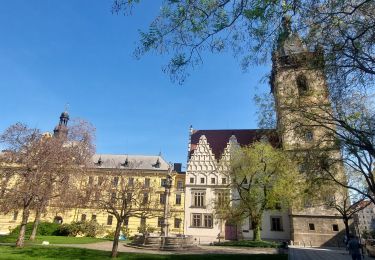 Trail Walking  - TV_CZ_Prague_AB_02_Pt-Charles-Quartier-Juif_20250430 - Photo