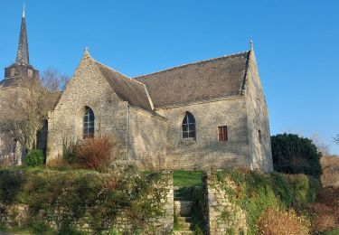 Trail Walking Treffléan - PR_56_Trefflean_AA_01_La-Chapelle-De-Bizole_Circuit1b_20240111 - Photo