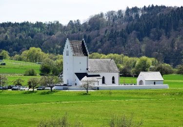 Tocht Te voet Kipfenberg - Rundwanderweg Kipfenberg 10 - Photo