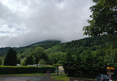 Trail Nordic walking Mont-Dore - une des cascades du Mont-Dore - Photo