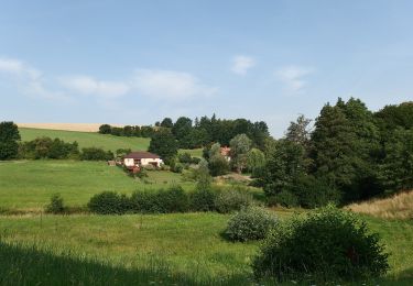 Excursión A pie Nová Dědina - Spáčilova NS - Photo