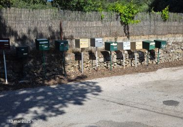Trail Walking Besse-sur-Issole - Besse sur Issole - Photo