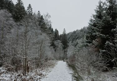 Trail Walking Waimes - Sur les traces de l'ultratrail 🥾 - Photo