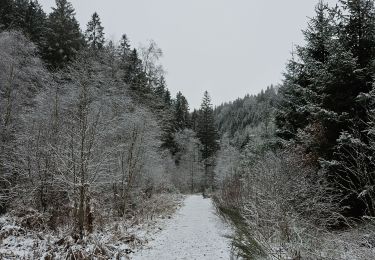 Randonnée Marche Waimes - Sur les traces de l'ultratrail 🥾 - Photo