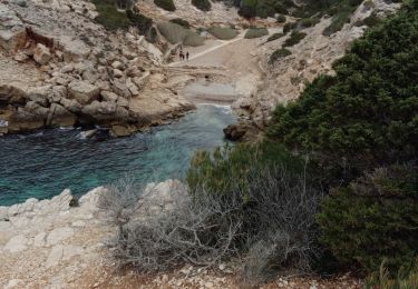 Trail Walking Saint-Cyr-sur-Mer - Boucle Calanques du port D'Along Bando - Photo