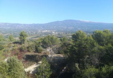 Excursión Senderismo Mormoiron - les hameaux des limons - Photo