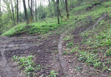 Percorso A piedi Attendorn - Rund um Attendorn - Photo