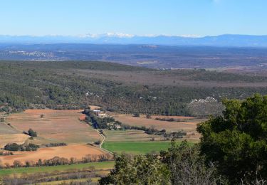 Randonnée Marche Esparron - Montagne d’Artigues , traversée intégrale par la crête - Photo