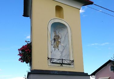 Tocht Te voet Sankt Nikolai im Sausal - Sankt Nikolaier Panoramaweg - Photo