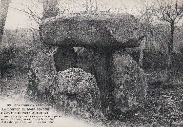 Percorso A piedi Vire Normandie - Le Domen de la Loge aux Sarrasins - Photo