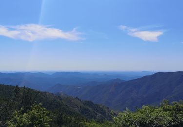 Trail Walking Val-d'Aigoual - Aigoual  - Photo