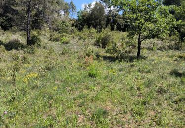 Trail Walking La Motte - le mitan  Fonfcirylle - Photo
