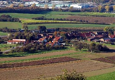 Trail On foot Oberstenfeld - DE-8 - Photo