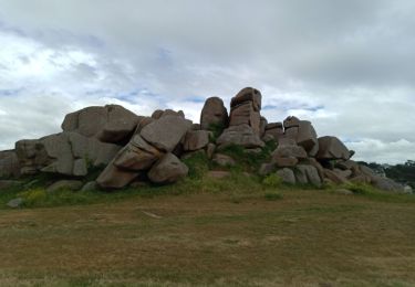 Tour Wandern Trébeurden - TREBEURDEN  - Photo