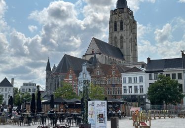 Percorso Marcia Ronse - Ronse-Audenarde 20,5 km  - Photo