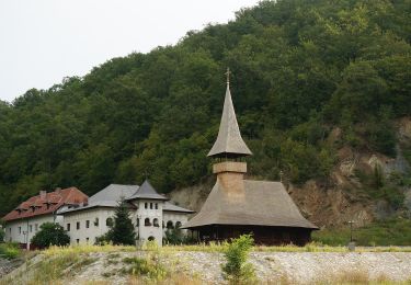 Randonnée A pied Drobeta-Turnu Severin - Traseul ecoturistic Vodița – Dealul Duhovnei - Photo