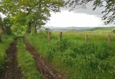 Tour Wandern Saint-Rémy - Suisse_Normande_#J2_Le_Pont_de_la_Mousse_-_Pont_d'Ouilly - Photo