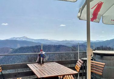 Tocht Te voet Gemeinde Furth an der Triesting - Wiener Mariazellerweg (06A) - Photo