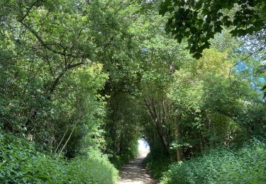 Percorso Marcia Overijse - Tombeek - Photo