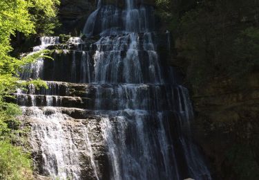 Excursión Senderismo Le Frasnois - Cascades du Hérisson  - Photo