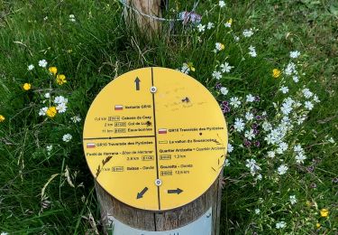 Trail Walking Laruns - GR10T2 - Photo