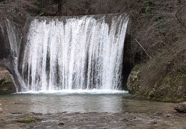 Tour Wandern Sainte-Eulalie-en-Royans - Cascades Blanche et Verte - Photo