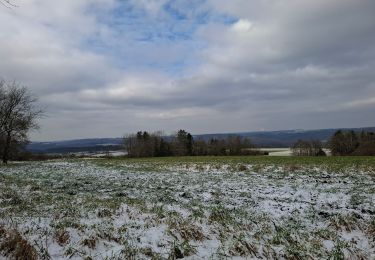 Tocht Stappen Hamoir - Balade à  Filot - Photo