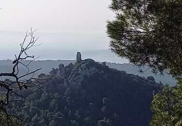 Percorso Marcia Gigondas - Gigondas Dentelles Sarasines Grande Montagne  - Photo