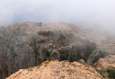 Tocht Stappen Piana - 20210606 boucle depuis Piana - Photo