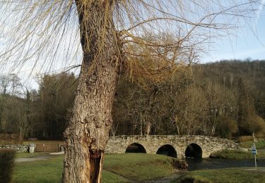 Trail Walking Vresse-sur-Semois - vresse sue semois - Photo