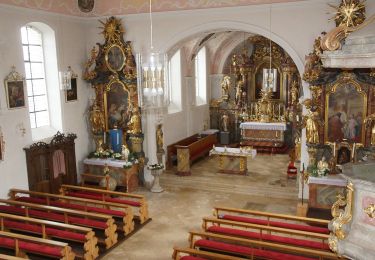 Percorso A piedi Wolferstadt - Rundwanderweg Monheim 1 - Photo