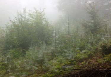 Trail On foot Špindlerův Mlýn - Podgórzyn Dolny - Czarna Przełęcz - Photo